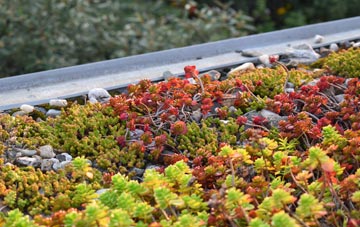the cost of Avebury Trusloe green roof installation