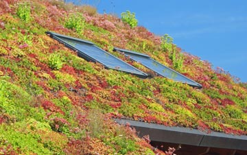 Avebury Trusloe living roof systems